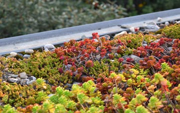 the cost of Mountblow green roof installation