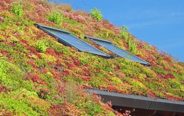 Mountblow living roof systems