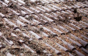 Mountblow roof cleaning companies