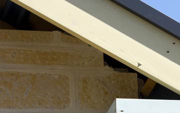 soffit repair Mountblow