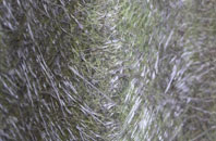 Mountblow fibreglass roof work