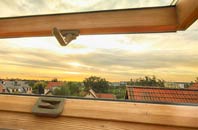 rated Mountblow roof window companies